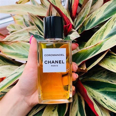 chanel perfume klarna|where to buy chanel coromandel.